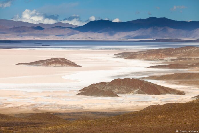 Iniciativa colaborativa entre Turismo Nación y Meta para sancionar la actividad de Agencias de Viajes ilegales