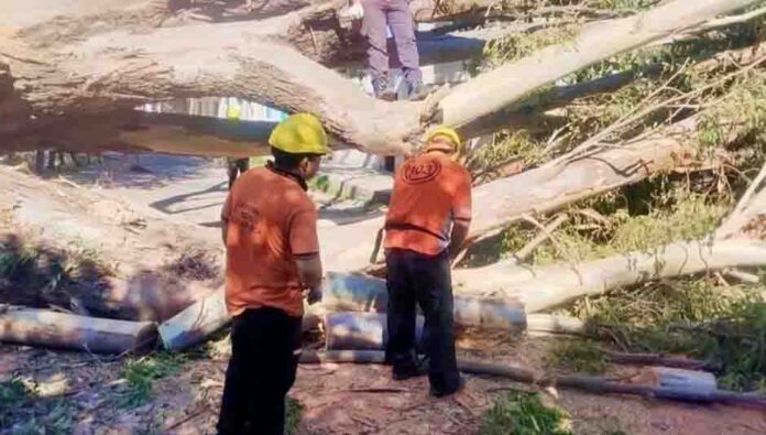 Siguen los trabajos por el desastre y alertan temporal