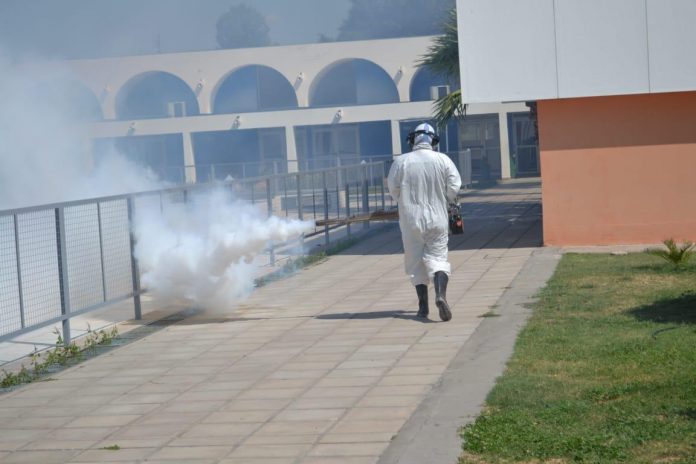 Dengue: la clave de esta etapa es la prevención hogareña