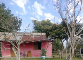 Le dio alojamiento a un amigo y mató a su novia de 22 y a su hermanita de 9: está prófugo