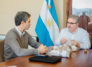 Nueva empresa invertirá en la producción de fibra de vicuña en Catamarca