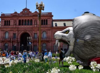 Seis meses de experimento libertario